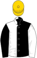 Black and white (halved), sleeves reversed, gold cap