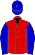 Red, blue sleeves and cap