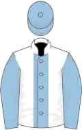 White, light blue stripe, sleeves and cap