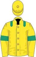Yellow, emerald green epaulets and armlets