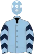 Light Blue, Dark Blue chevrons, dark blue chevrons on sleeves, Light Blue cap, White spots