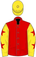 Red, yellow sleeves, red stars, yellow cap