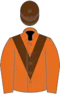 Orange, brown chevron and cap