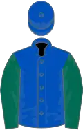 Royal blue, dark green sleeves, royal blue cap