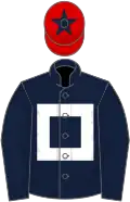 Dark blue, white hollow box, red cap, dark blue star