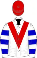 White, red chevron, blue hooped sleeves, red cap