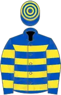 Royal blue and yellow hoops