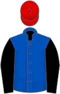 Royal blue, black sleeves, red cap
