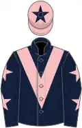 Dark blue, pink chevron, dark blue sleeves, pink stars, pink cap, dark blue star