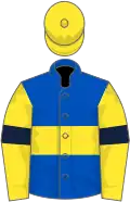 Royal Blue, Yellow hoop, Yellow sleeves, Dark Blue armlets, Yellow cap