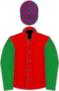 Red, green sleeves, royal blue and red check cap