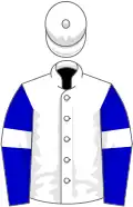 White, blue sleeves, white armlets