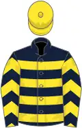 Dark blue, yellow hoops, chevrons on sleeves, yellow cap