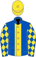 Royal blue, yellow stripe, diamonds on sleeves, yellow cap