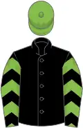 Black, light green and black chevrons on sleeves, light green cap