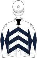 White, dark blue chevrons, diabolo on sleeves, white cap