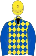 Royal blue and yellow diamonds, royal blue sleeves, yellow cap