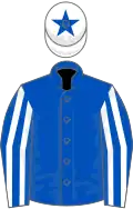 Dark blue, dark blue and white striped sleeves, white cap, dark blue star