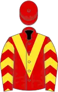 Red, yellow chevron, chevrons on sleeves
