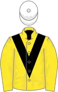 Yellow, black chevron, white cap