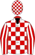 Red and white check, striped sleeves