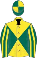 Yellow and dark green diabolo, dark green and yellow striped sleeves, quartered cap