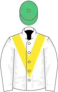 White, yellow 'v', yellow cap