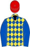 Royal blue and yellow diamonds, royal blue sleeves, red cap