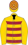 Gold, maroon hoops, gold sleeves