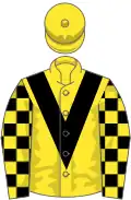 Yellow, black chevron, black and yellow check sleeves