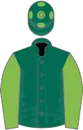 Dark green, light green sleeves, dark green cap, light green spots