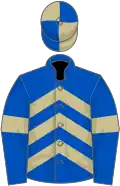 Royal blue, beige chevrons and armlets, beige and royal blue quartered cap