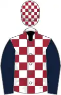 White and maroon check, dark blue sleeves