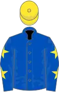Royal blue, royal blue sleeves, yellow stars, yellow cap