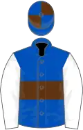 Royal blue, brown hoop, white sleeves, royal blue and brown quartered cap
