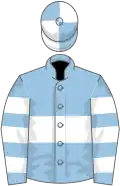 Light blue, white hoop, hooped sleeves, quartered cap