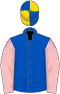 BLUE, pink sleeves., blue and gold quartered cap