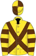 Yellow, brown cross belts, hooped sleeves, quartered cap