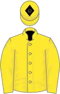 Yellow, black diamond on cap
