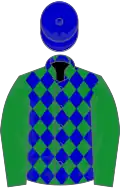 Green and blue diamonds, green sleeves, blue cap