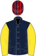 Dark blue, yellow sleeves, dark blue and red striped cap