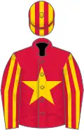 Crimson, gold star, striped sleeves and cap