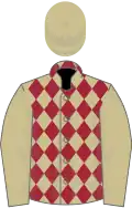 Beige and maroon diamonds, beige sleeves and cap