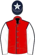 Red, dark blue seams, white sleeves, dark blue seams, dark blue cap, white star