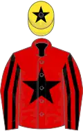 Red, black star, striped sleeves, yellow cap, black star