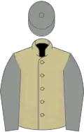 Beige, grey sleeves and cap