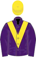 Purple, yellow chevron, yellow cap