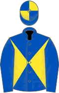 ROYAL BLUE and YELLOW DIABOLO, royal blue sleeves, quartered cap