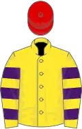 Yellow, purple hooped sleeves, red cap