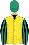 Yellow, black and emerald green striped sleeves, emerald green cap
